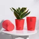 Krish Self Watering Planter - Set of 4